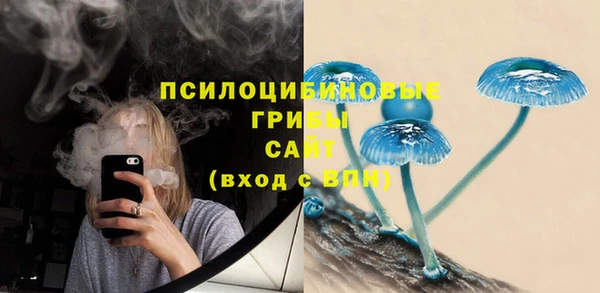 стафф Богданович